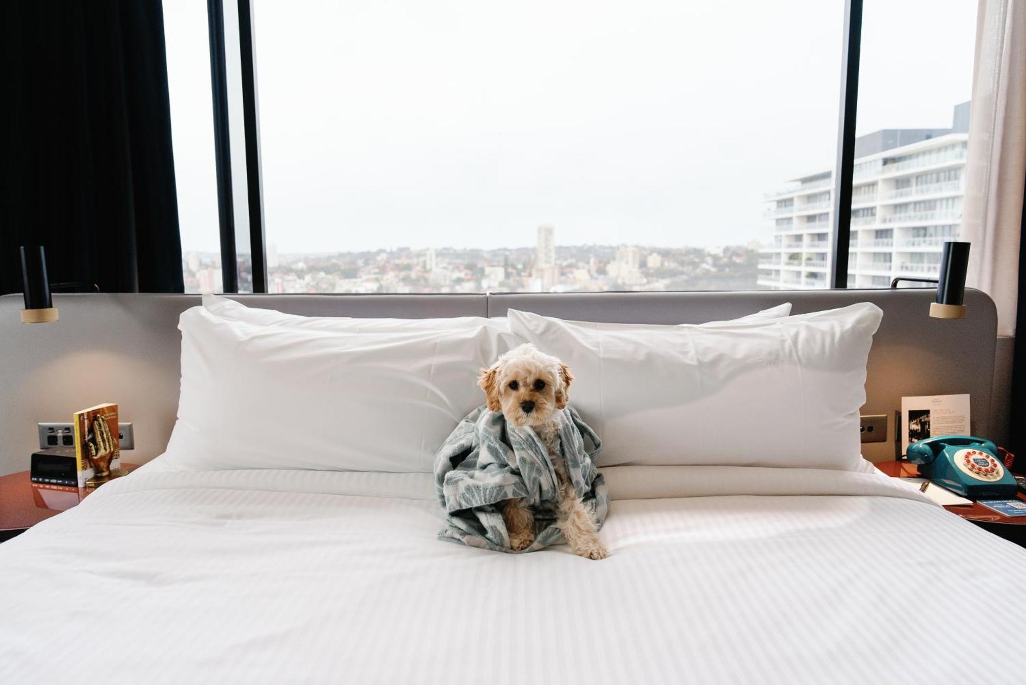 Hotel Indigo Sydney Potts Point By Ihg Exteriör bild